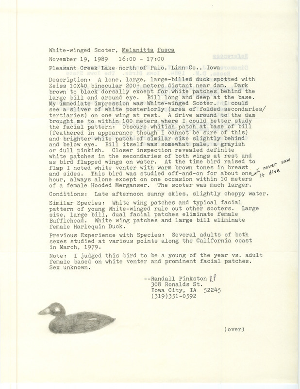 Rare bird documentation form for a White-winged Scoter at Pleasant Creek Lake in Linn County, IA on November 19, 1989.