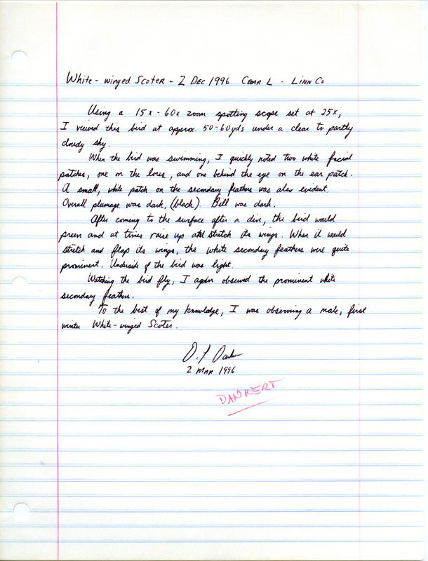 Field notes contributed by David L. Dankert detailing the sighting of a White-winged Scoter at Cedar Lake in Linn County, IA on December 2, 1995.