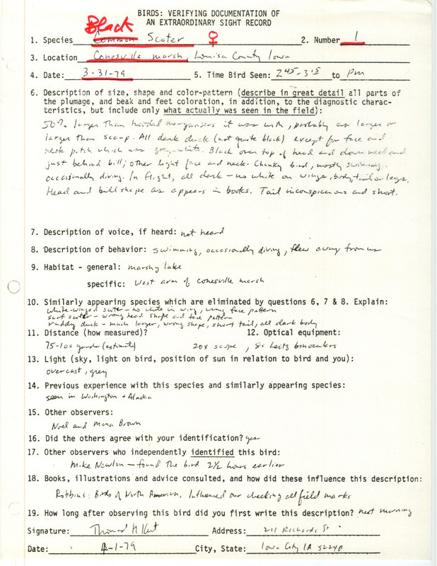 Rare bird documentation form for a Black Scoter at Conesville March in Louisa County, IA on March 31, 1979.