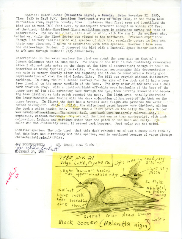 Rare bird documentation form for a Black Scoter at Volga Lake in Fayette County, IA on November 21, 1980.