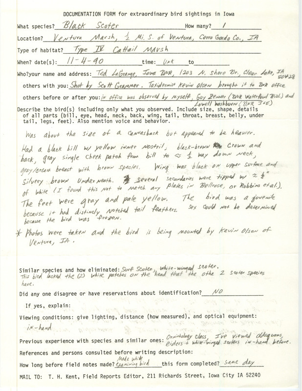 Rare bird documentation form for a Black Scoter at Ventura March in Cerro Gordo County, IA on November 4, 1990.