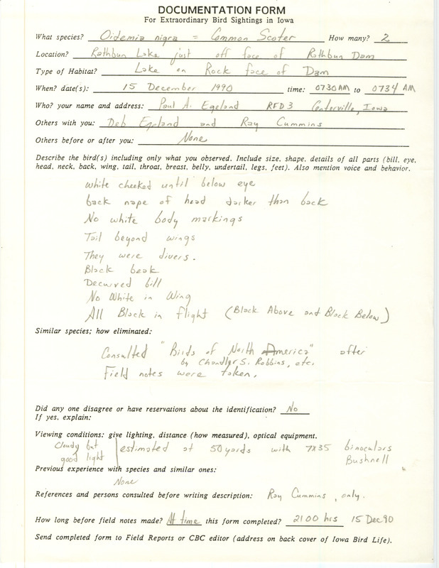 Rare bird documentation form for two Black Scoters at Rathbun Lake in Appanoose County, IA on December 15, 1990.