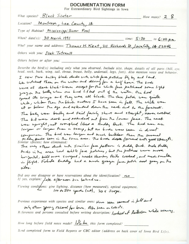 Rare bird documentation form for two Black Scoters at Montrose in Lee County, IA on March 30, 1991.