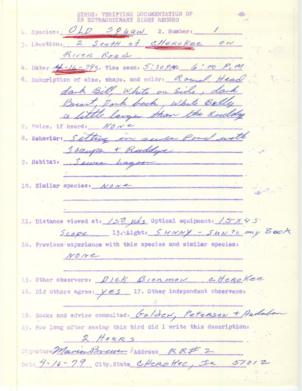 Rare bird documentation form for a Long-tailed Duck at Cherokee in Cherokee County, IA on April 16, 1979.