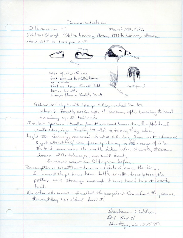 Rare bird documentation form for Long-tailed Duck at Willow Slough Public Hunting Area in Mills County, IA on March 22, 1982.