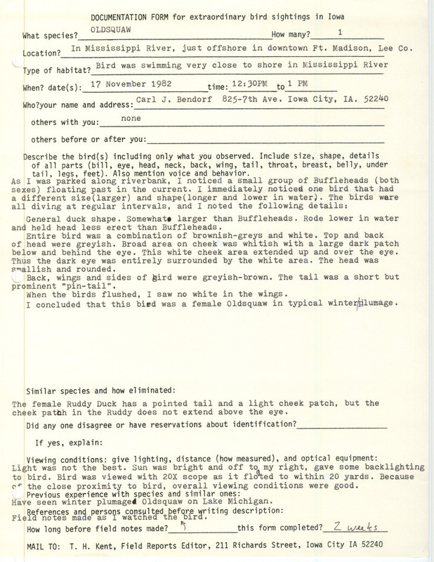 Rare bird documentation form for a Long-tailed Duck at Ford Madison in Lee County, IA on November 17, 1982.