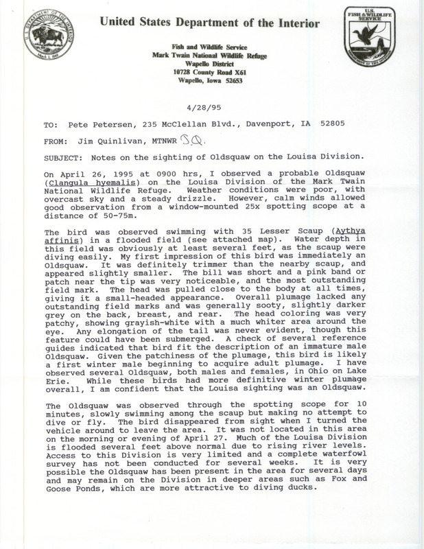 Rare bird documentation form for a Long-tailed Duck at the Louisa Division of the Mark Twain National Wildlife Refuge in Louisa County, IA on April 26, 1995 sent in a letter from James Quinlivan to Peter C. Petersen to April 28, 1995.