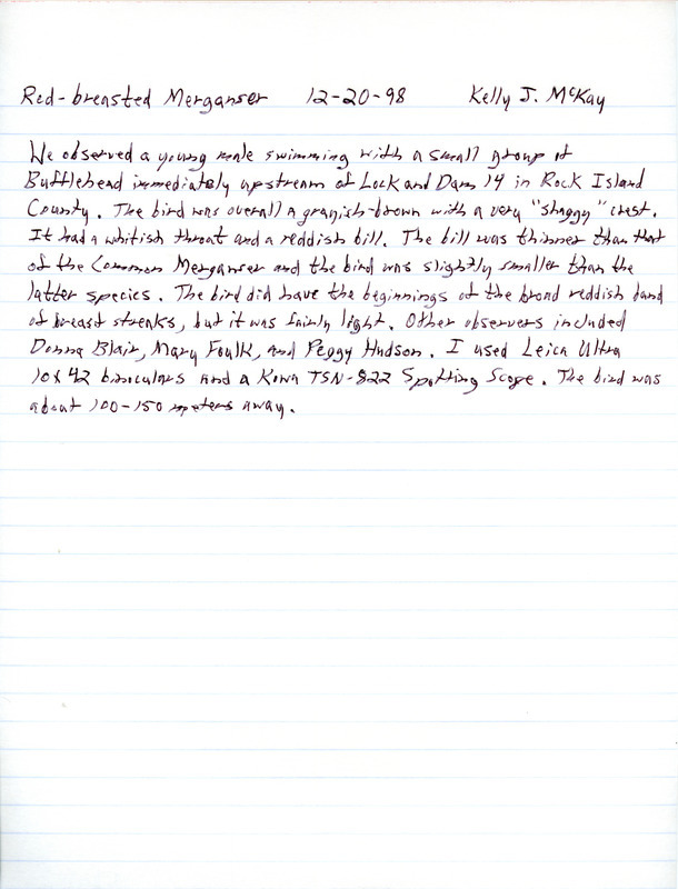 Field notes written by Kelly J. McKay detailing the sighting of a Red-breasted Merganser at Lock and Dam 14 in Scott County, IA on December 20, 1998.