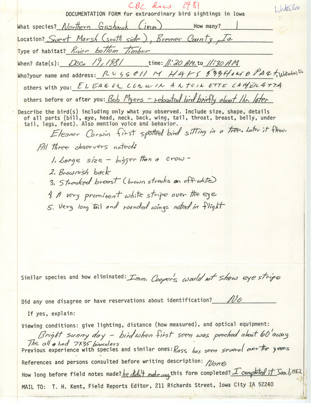 Rare bird documentation form for a Northern Goshawk at Sweet March in Bremer County, IA on December 19, 1981.