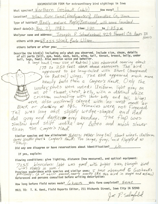 Rare bird documentation form for a Northern Goshawk at Yellow River Forest at Allamakee County, IA on November 21, 1982.