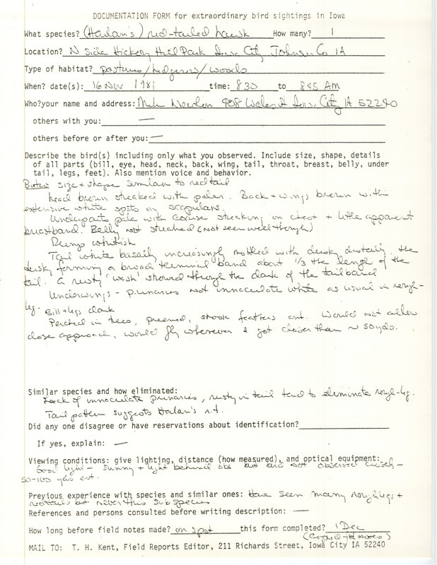 Rare bird documentation form for a Red-tailed Hawk at Hickory Hill Park in Iowa City in Johnson County, IA on November 16, 1981.