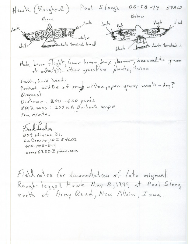 Rare bird documentation form for a Rough-legged Hawk at Pool Slough north of New Albin in Allamakee County, IA on May 8, 1999.