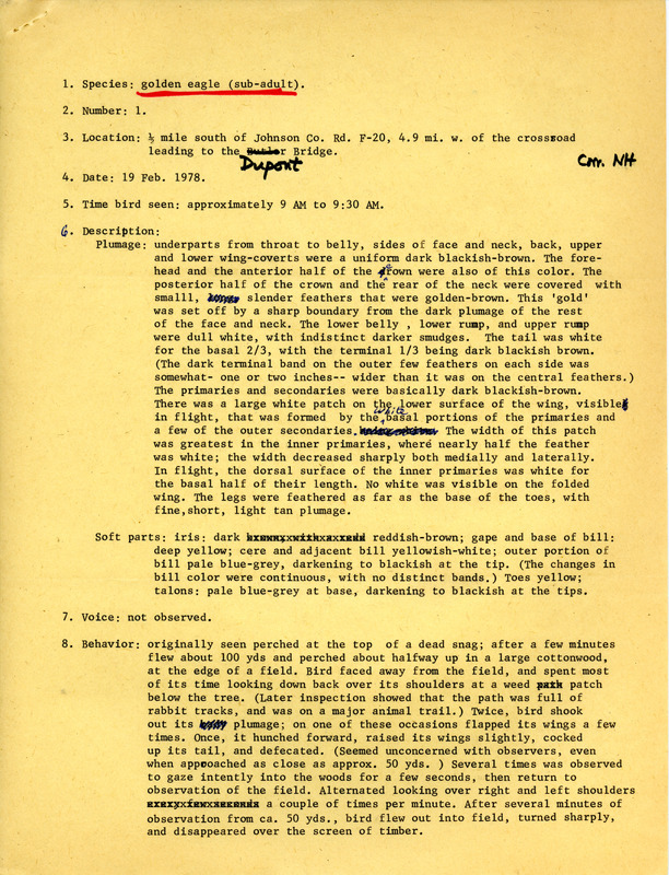 Rare bird documentation form for a Golden Eagle at the Dupont Bridge in the Hawkeye Wildlife Management Area in Johnson County, IA on February 19, 1978.