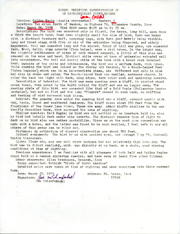 Rare bird documentation form for a Golden Eagle near Waukon in Allamakee County, IA on March 26, 1978.