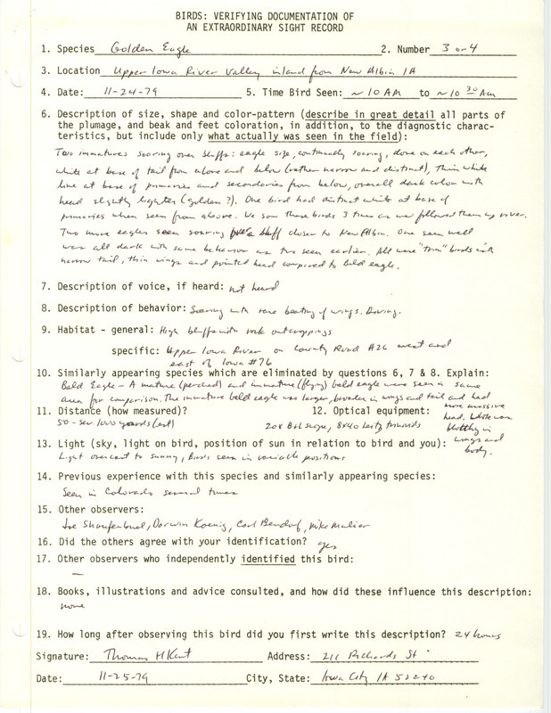 Rare bird documentation form for three or four Golden Eagles at New Albin in Allamakee County, IA on November 24, 1979.