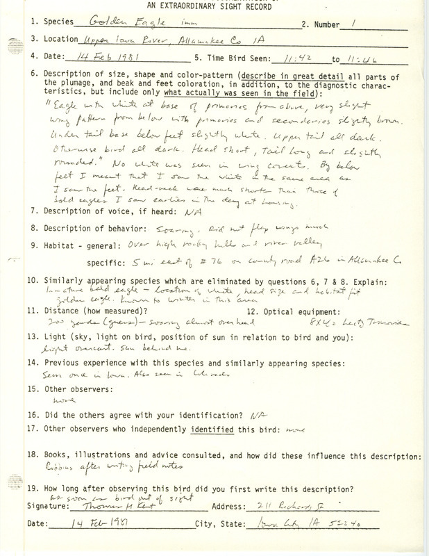 Rare bird documentation form for a Golden Eagle at Upper Iowa River in Allamakee County, IA on February 14, 1981.