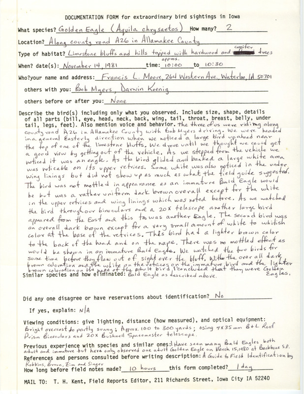 Rare bird documentation form for two Golden Eagles along county road A26 in Allamakee County, IA on November 14, 1981.