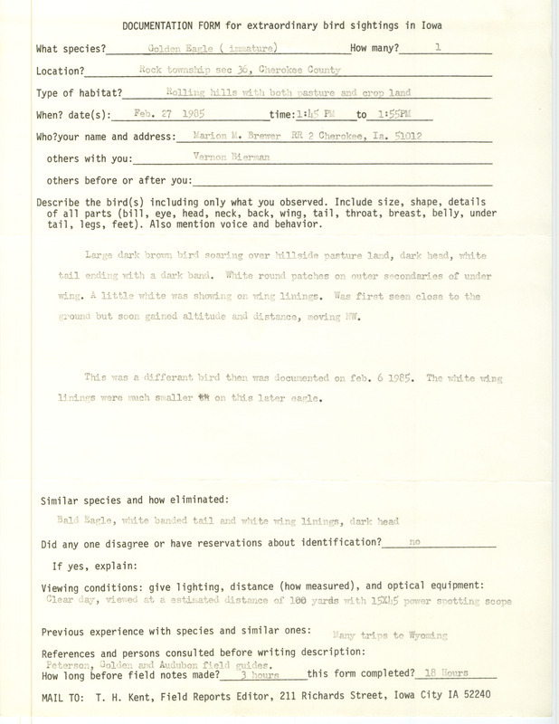 Rare bird documentation form for a Golden Eagle at Rock Township in Cherokee County, IA on February 27, 1985.