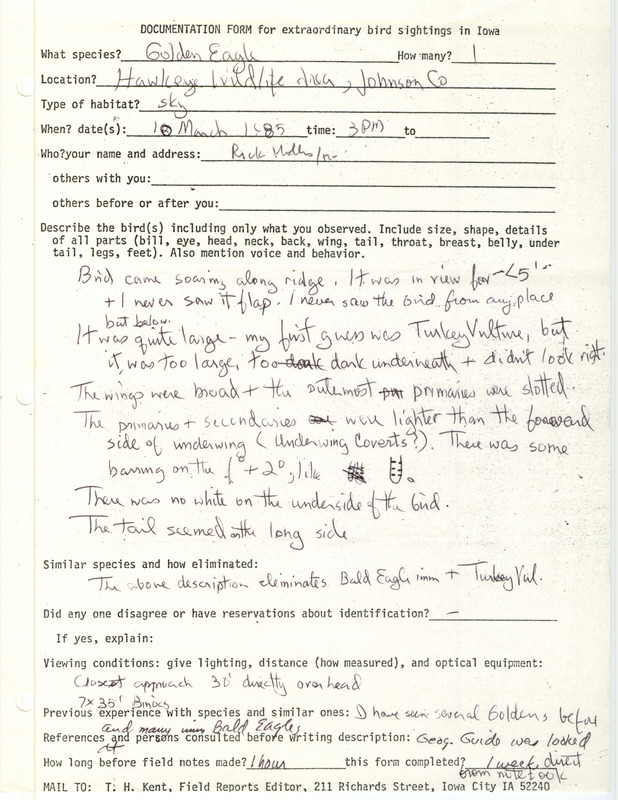 Rare bird documentation form for a Golden Eagle at Hawkeye Wildlife Area in Johnson County, IA on March 10, 1985.