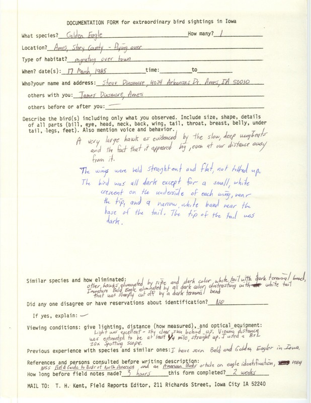 Rare bird documentation form for a Golden Eagle at Ames in Story County, IA on March 17, 1985.