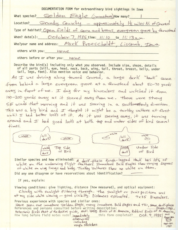 Rare bird documentation form for a Golden Eagle north of Conrad in Grundy County, IA on October 7, 1985.