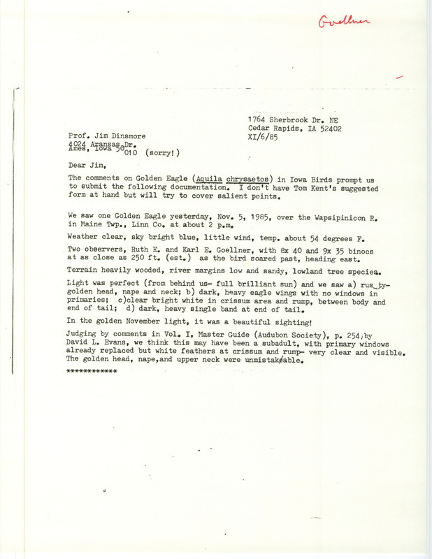 Rare bird documentation form for a Golden Eagle on Wapsipinicon River at Maine Township in Linn County, IA on November 5, 1985.