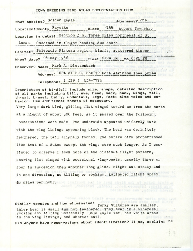 Rare bird documentation form for a Golden Eagle near St. Lucas in Fayette County, IA on May 28, 1986.