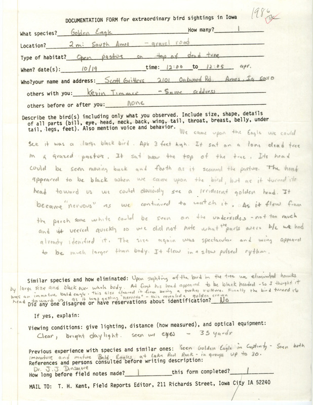 Rare bird documentation form for a Golden Eagle at Ames in Story County, IA on October 19, 1986.