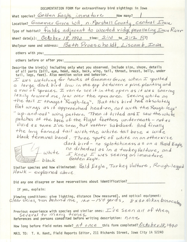 Rare bird documentation form for a Golden Eagle at Grammer Grove Wildlife Area in Marshall County, IA on October 18, 1990.