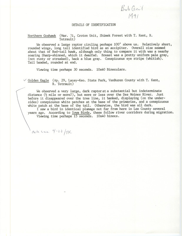 Field notes written by Bob Cecil for a Northern Goshawk sighting on March 31 and a Golden Eagle sighting on April 29, 1991.