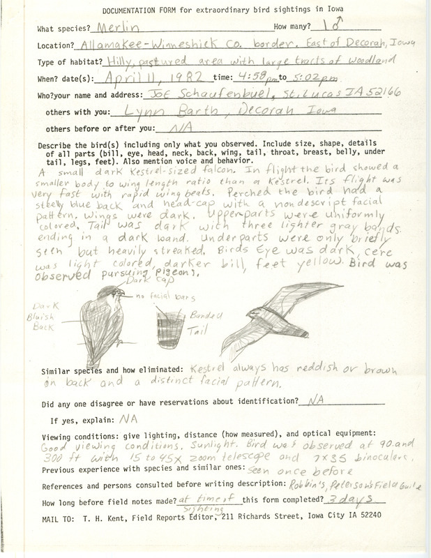 Rare bird documentation form for a Merlin east of Decorah at the Allamakee-Winneshiek county line, IA on April 11, 1982.