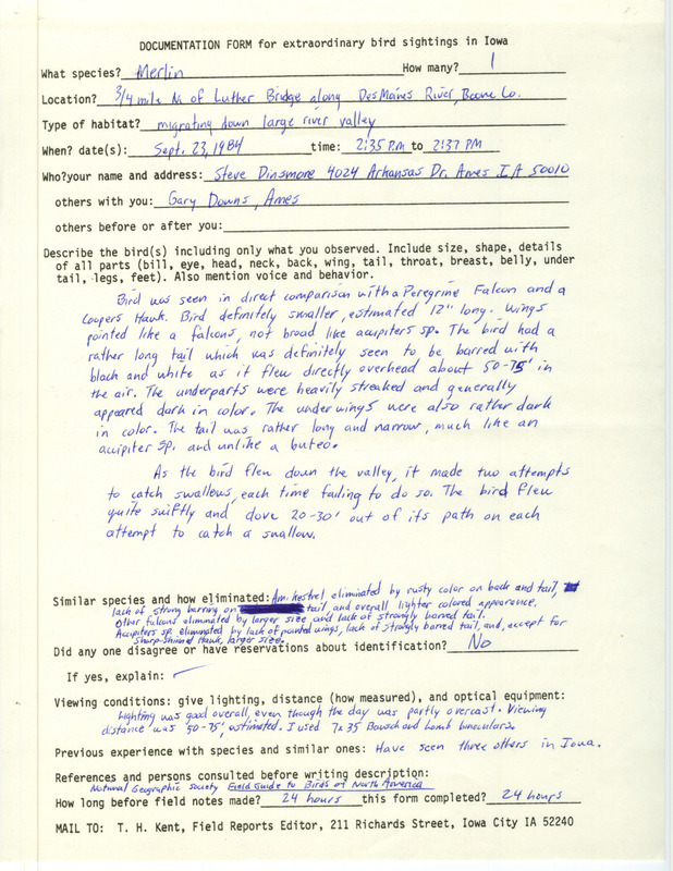 Rare bird documentation form for a Merlin at Luther Bridge over the Des Moines River in Boone County, IA on September 23, 1984.