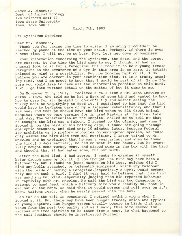 Letter from Doug Trapp to James Dinsmore dated March 7, 1983. Trapp reports trying to care for a sick Gyrfalcon on November 25, 1981.