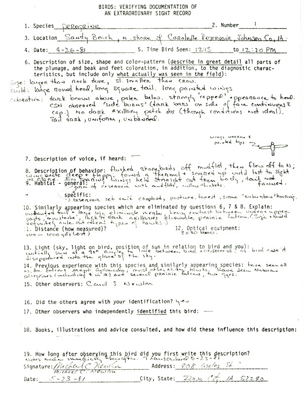 Rare bird documentation form for a Peregrine Falcon at Sandy Beach at Coralville Reservoir in Johnson County, IA on April 26, 1981.