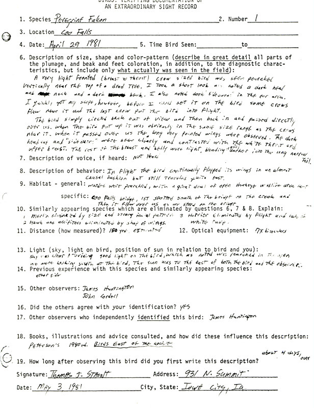 Rare bird documentation form for a Peregrine Falcon at Cou Falls in Johnson County, IA on April 29, 1981.