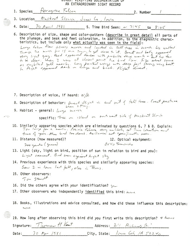 Rare bird documentation form for a Peregrine Falcon at Muskrat Slough in Jones County, IA on April 30, 1981.