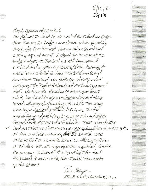 Field notes written by Tim Dwyer giving details of a Peregrine Falcon sighting at the Cedar River bridge on Iowa Highway 22 in Muscatine County, IA on May 3, 1981.