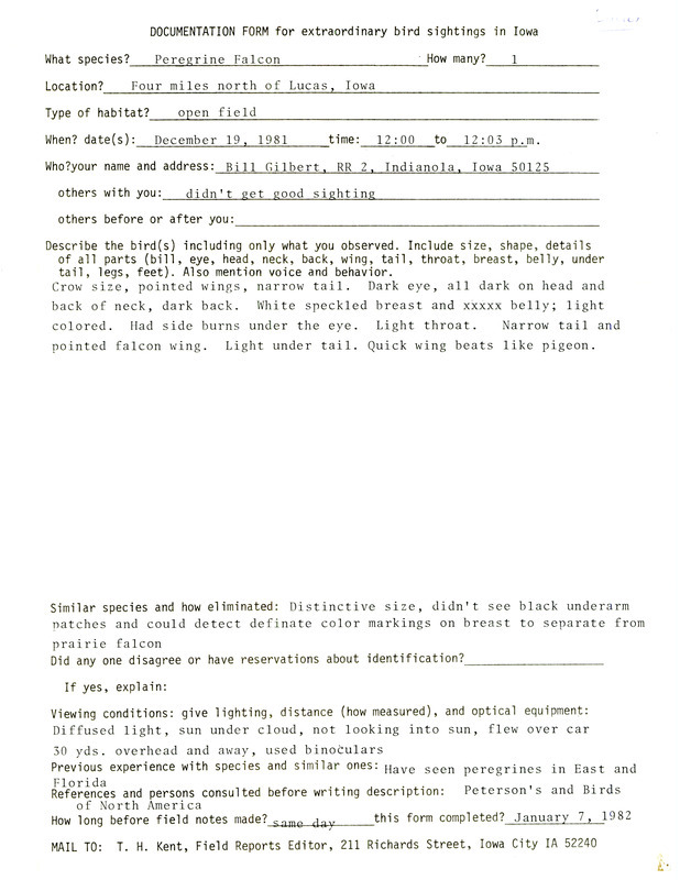 Rare bird documentation form for a Peregrine Falcon at Lucas in Lucas County, IA on December 19, 1981.