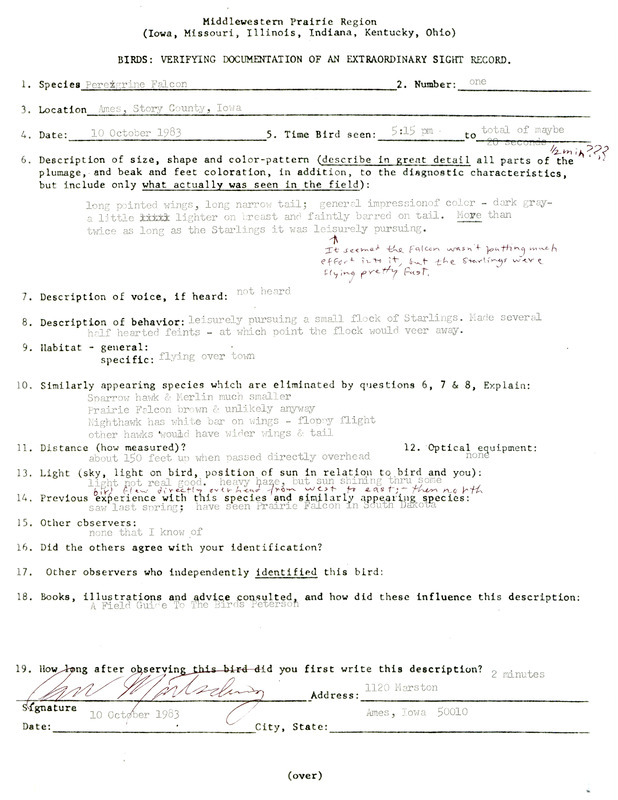 Rare bird documentation form for a Peregrine Falcon at Ames in Story County, IA on October 10, 1983.