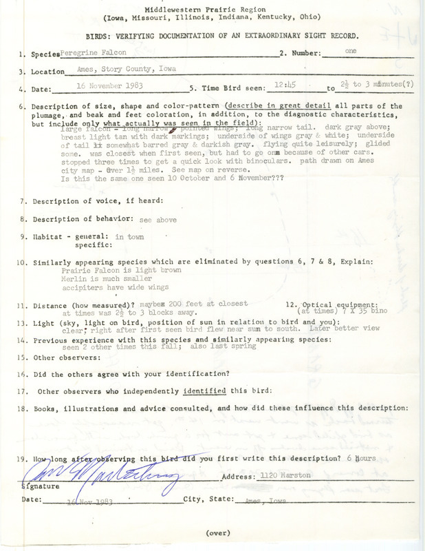 Rare bird documentation form for a Peregrine Falcon at Ames in Story County, IA on November 16, 1983.