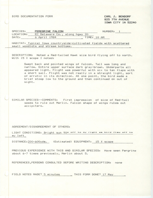 Rare bird documentation form for a Peregrine Falcon in east-central Delaware County, IA on April 6, 1984.