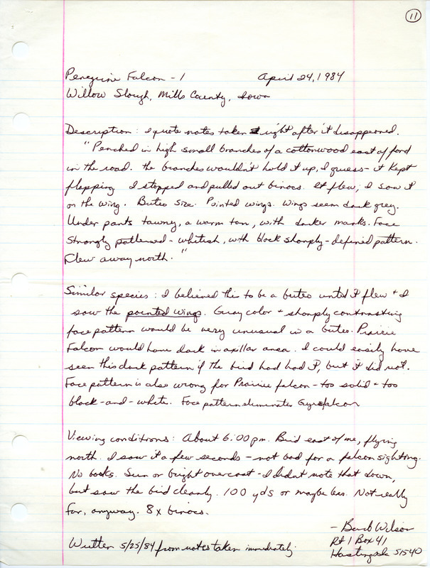 Rare bird documentation form for a Peregrine Falcon at Willow Slough in Mills County, IA on April 24, 1984.