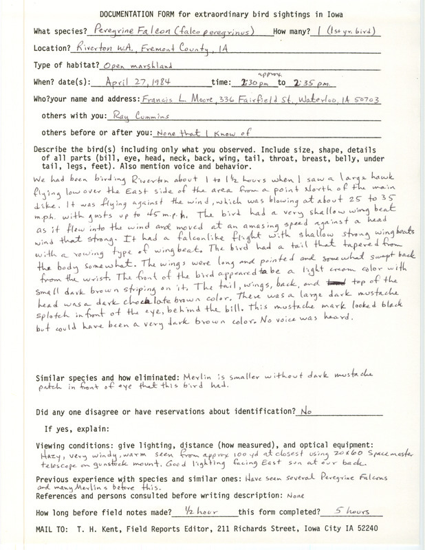 Rare bird documentation form for a Peregrine Falcon at Riverton Wildlife Area in Fremont County, IA on April 27, 1984.