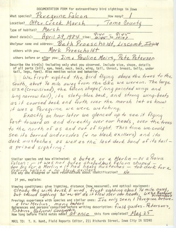 Rare bird documentation form for a Peregrine Falcon at Otter Creek March in Tama County, IA on April 29, 1984.