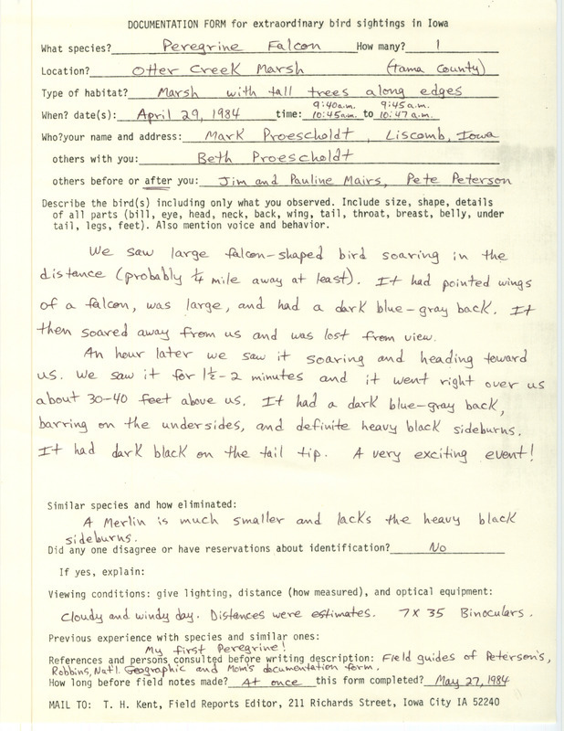 Rare bird documentation form for a Peregrine Falcon at Otter Creek March in Tama County, IA on April 29, 1984.