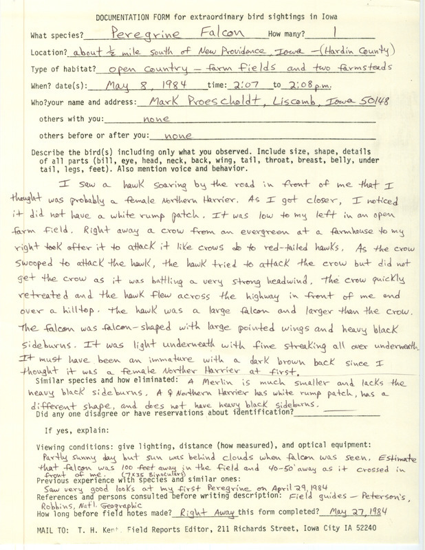 Rare bird documentation form for a Peregrine Falcon south of New Providence in Hardin County, IA on May 8, 1984.