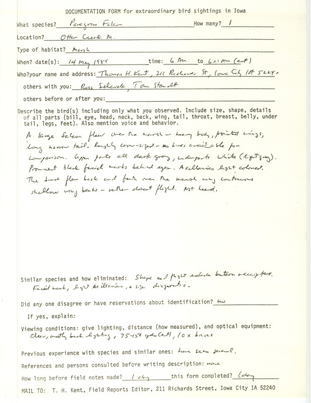 Rare bird documentation form for a Peregrine Falcon at Otter Creek March in Tama County, IA on May 14, 1984.