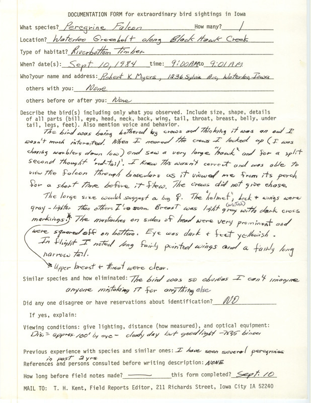 Rare bird documentation form for a Peregrine Falcon at Waterloo Greenbelt at Black Hawk County, IA on September 10, 1984.