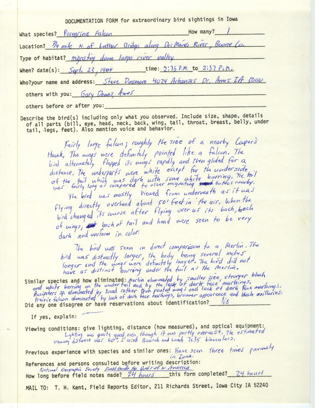 Rare bird documentation form for a Peregrine Falcon at Luther Bridge along Des Moines River in Boone County, IA on September 23, 1984.