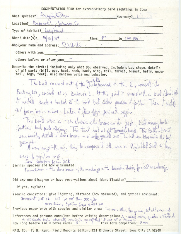 Rare bird documentation form for a Peregrine Falcon at Babcock Lake in Johnson County, IA on October 10, 1984.